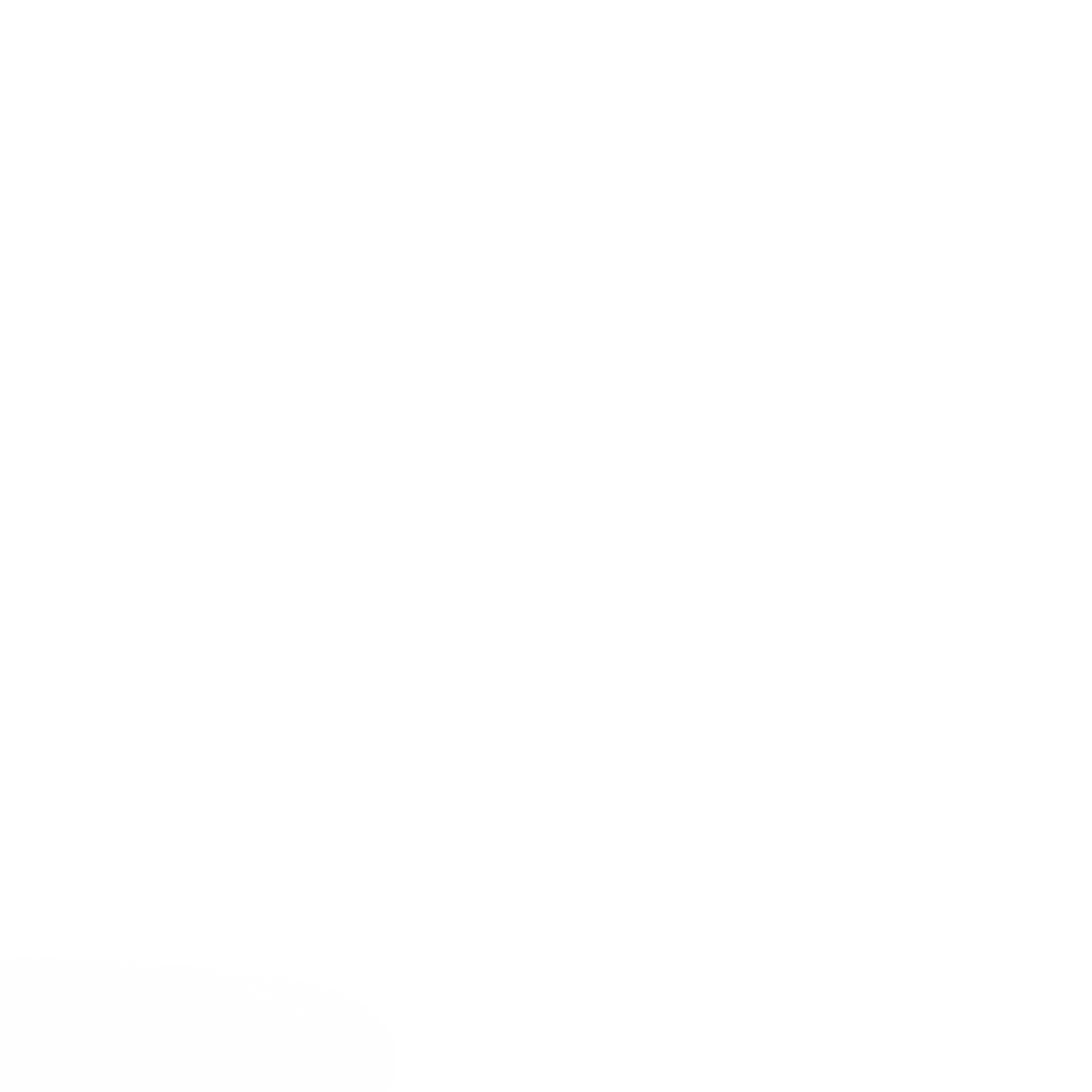 S_1
