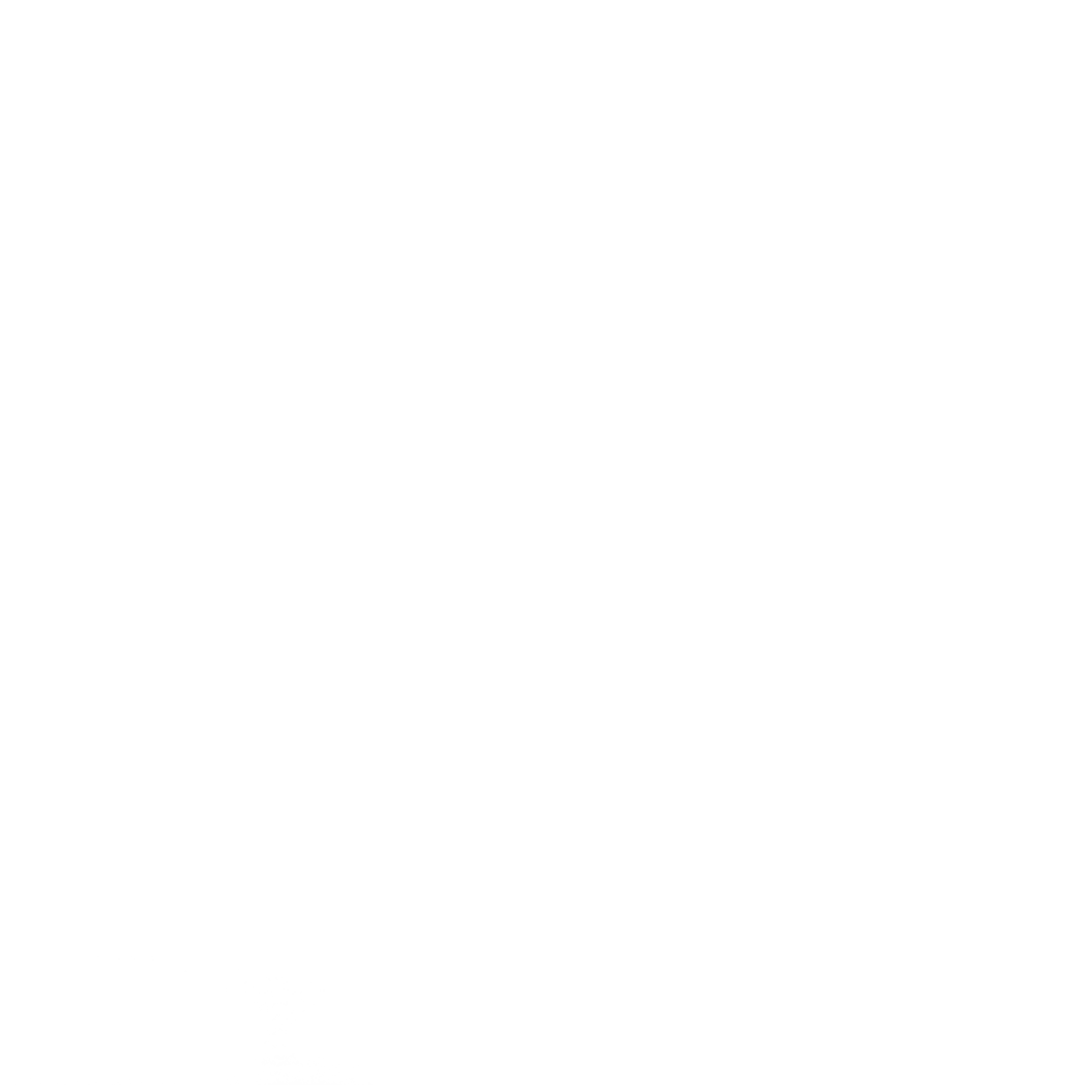 S_2