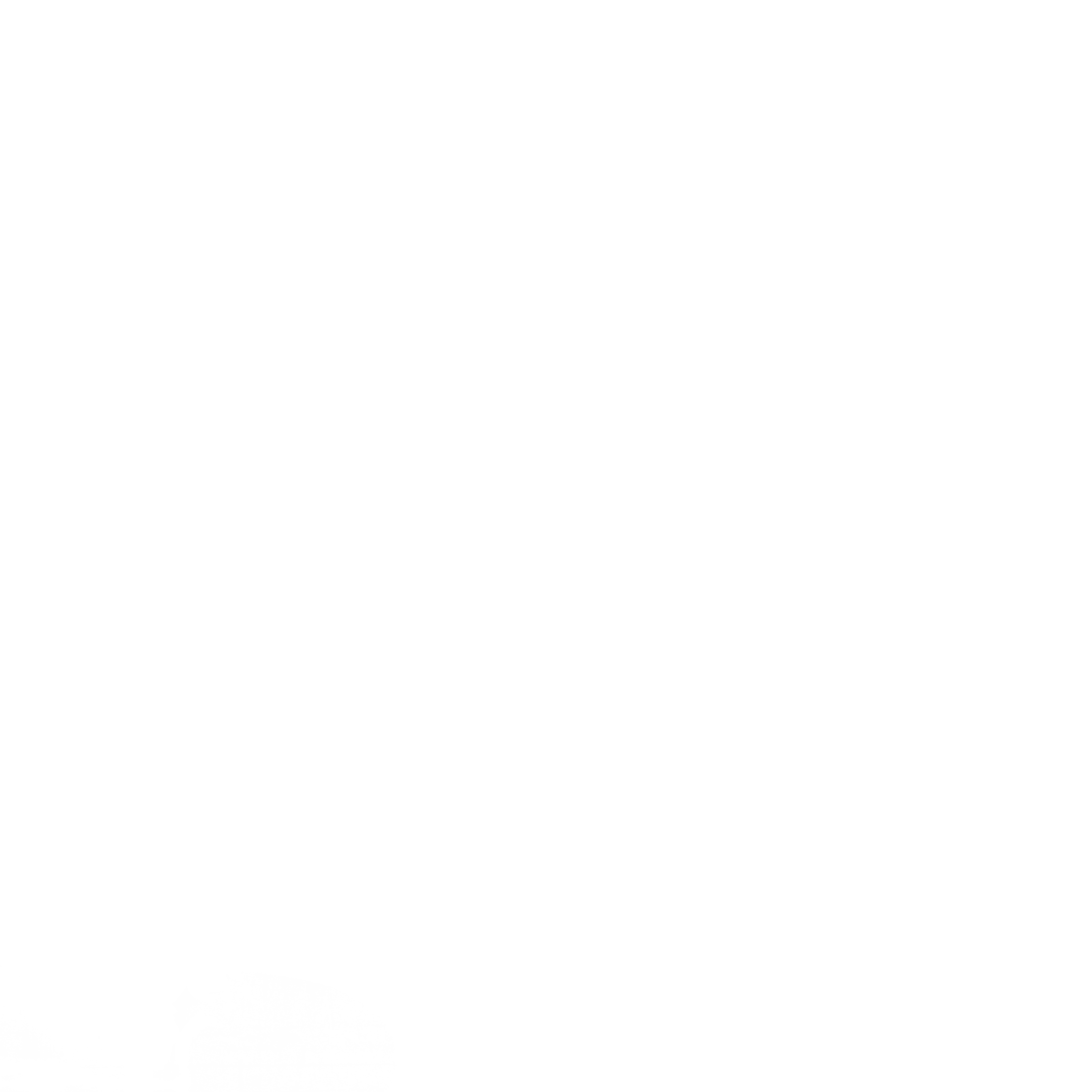S_4