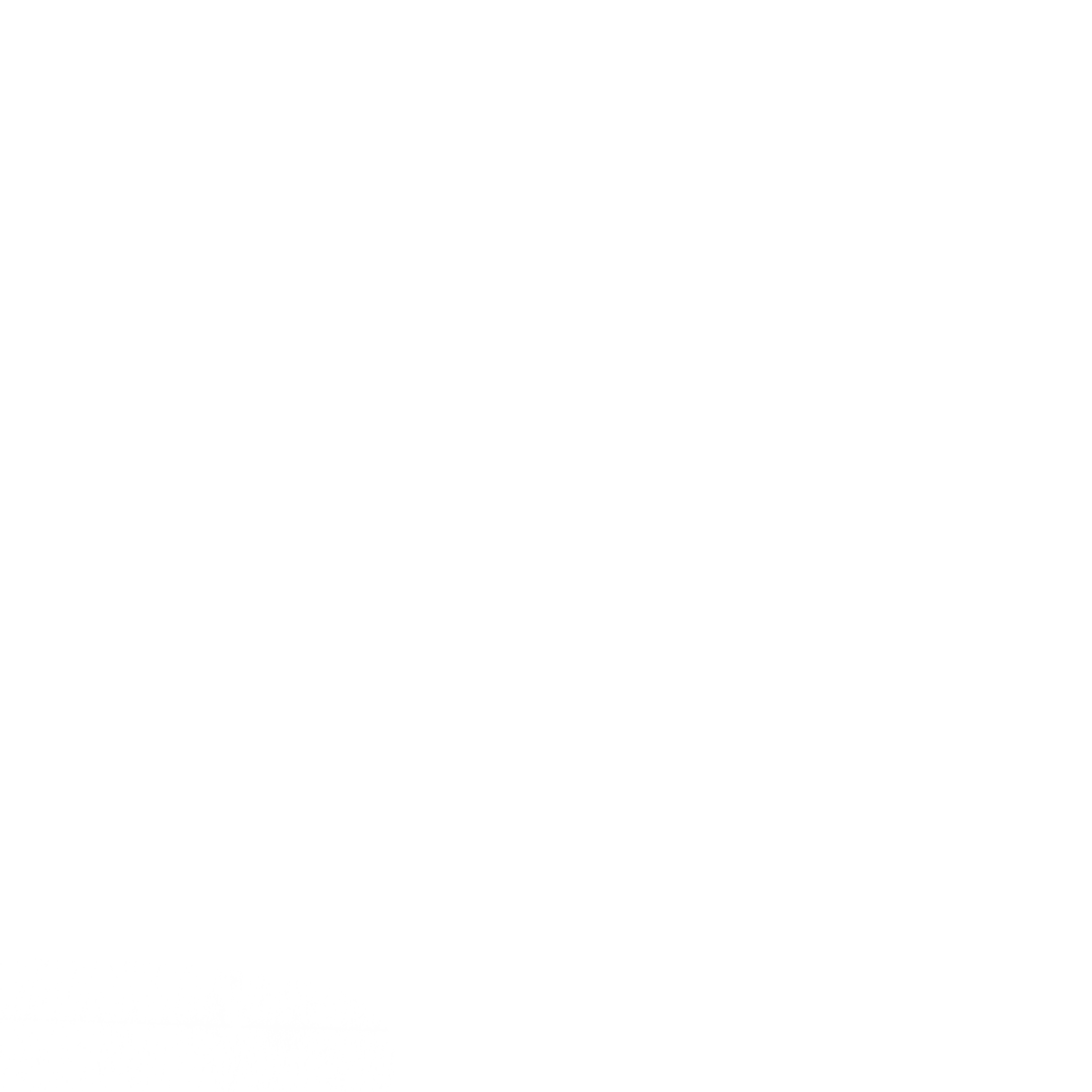 S_5